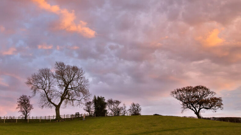 bradley sky